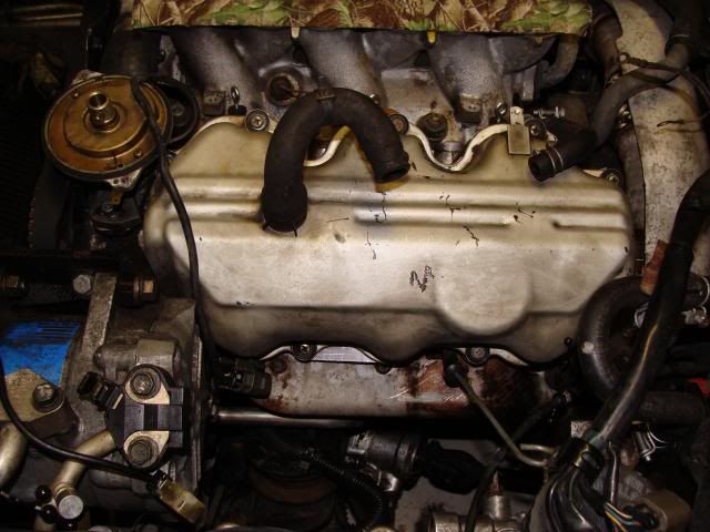 File:9302c22f DSC04475.jpg