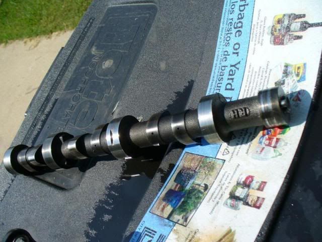 File:C7f656e2 P1050682.jpg