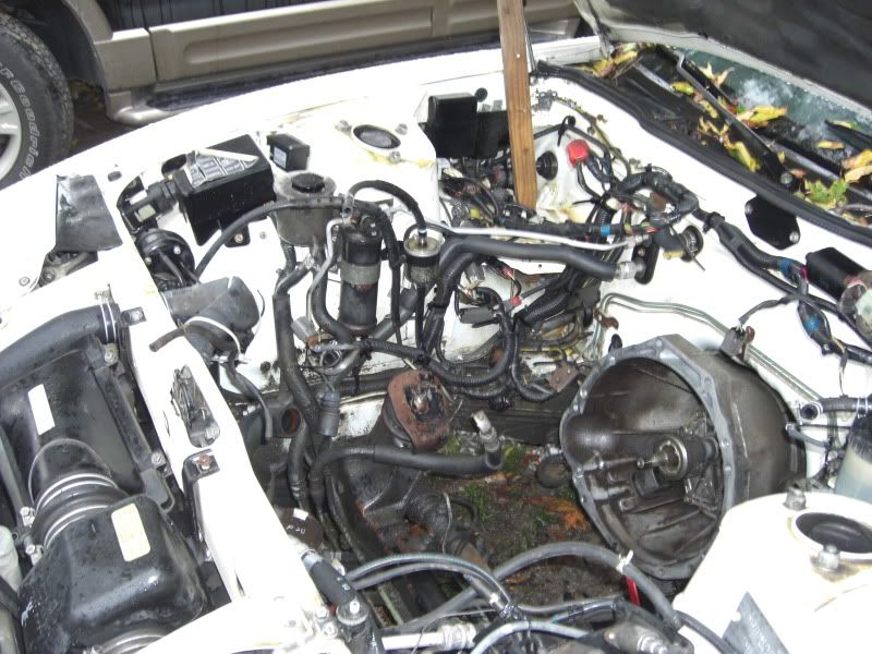 File:Cca39275 baycleaning3.jpg