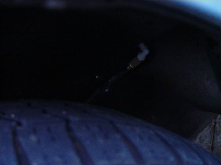 File:8260582c 3.jpg