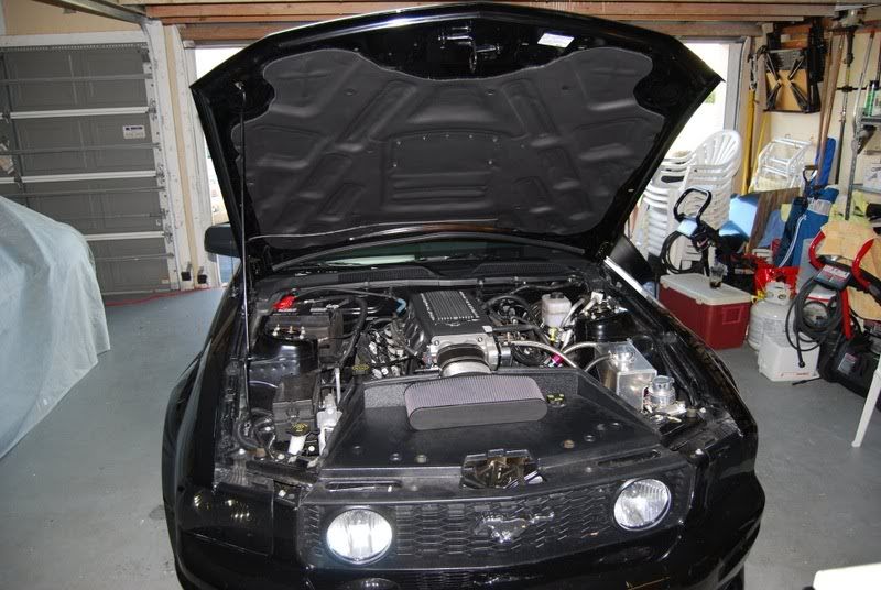 File:5f342b69 DSC 0021.jpg
