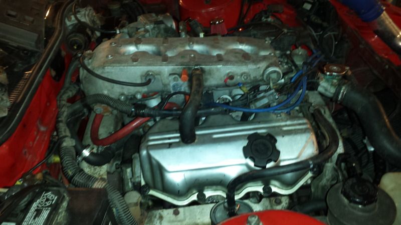 File:7c93971f 20131007 203356 zps71a97bff.jpg