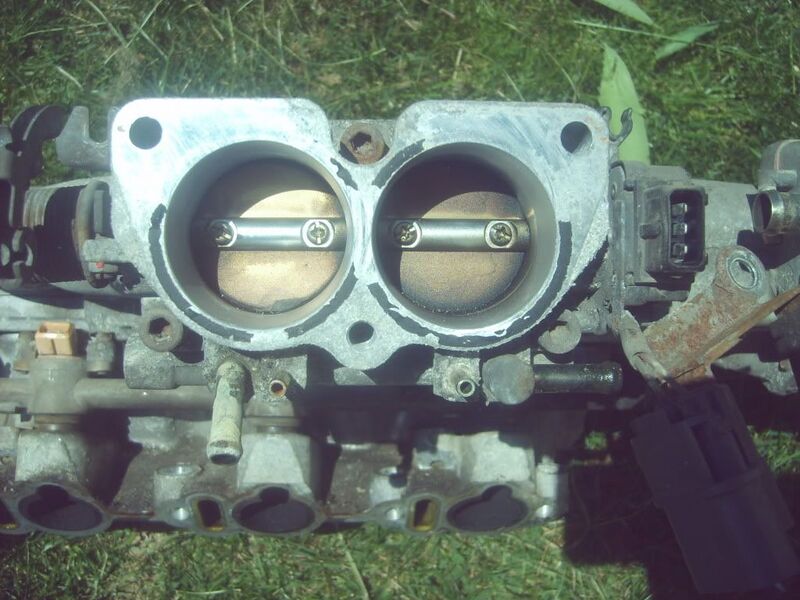 File:9d5efc60 S5000258.jpg