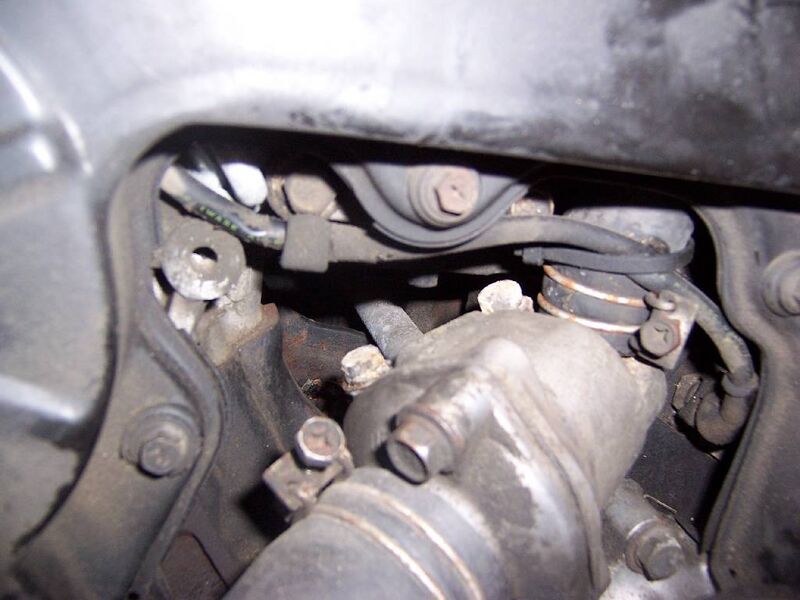 File:68becf5f 100 2618.JPG