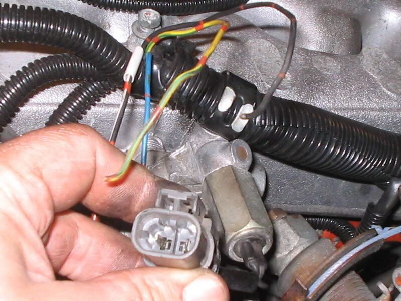 File:E5b6bc7a Picture006.jpg