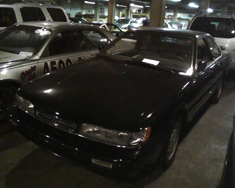 File:87c56ca9 Photo04131923.jpg
