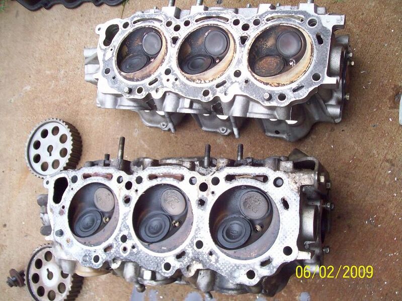 File:059ad8cb heads.JPG