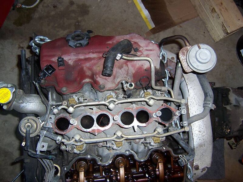 File:0ad401dc 100 2621.JPG