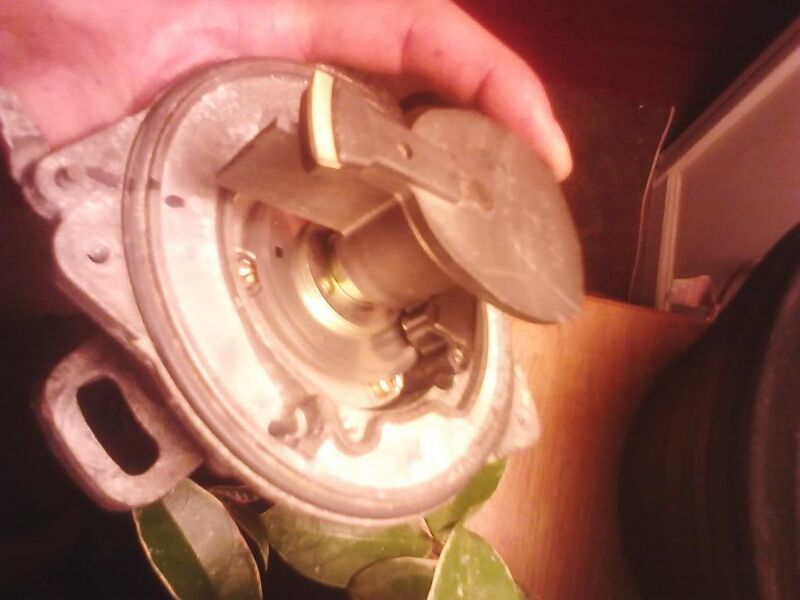 File:3847c535 IMG 20130714 201209 zpsfbcf0685.jpg