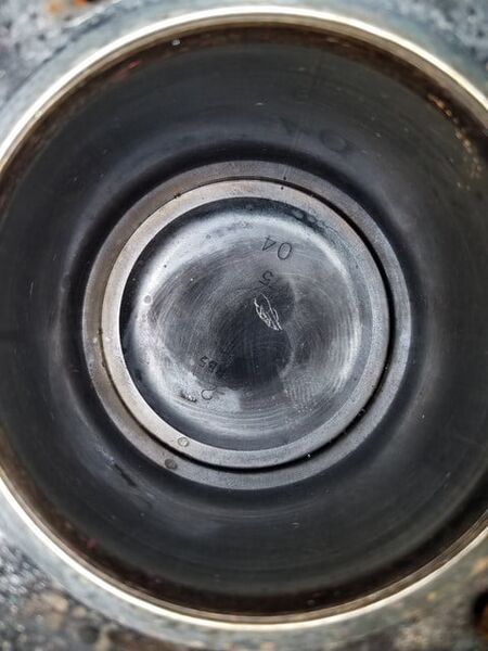 File:Dfdb367f 20180409-201937.jpg