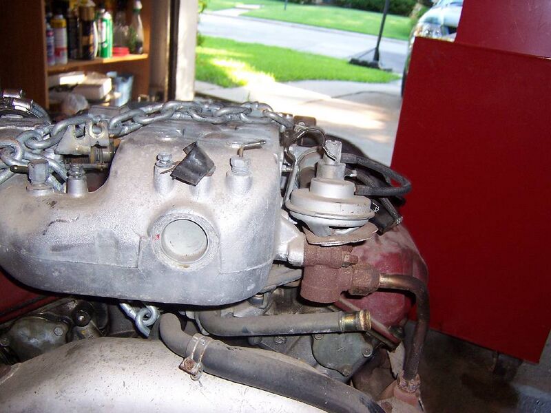 File:7fff99cc 100 2603.JPG