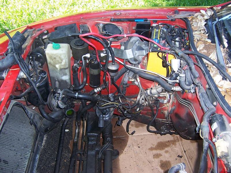 File:C2c53cb3 100 2588.JPG