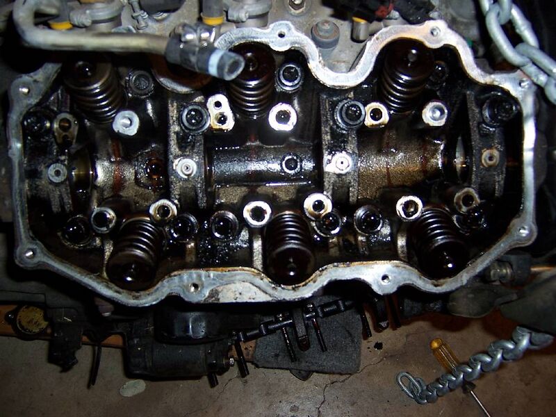 File:17154924 100 2638.JPG
