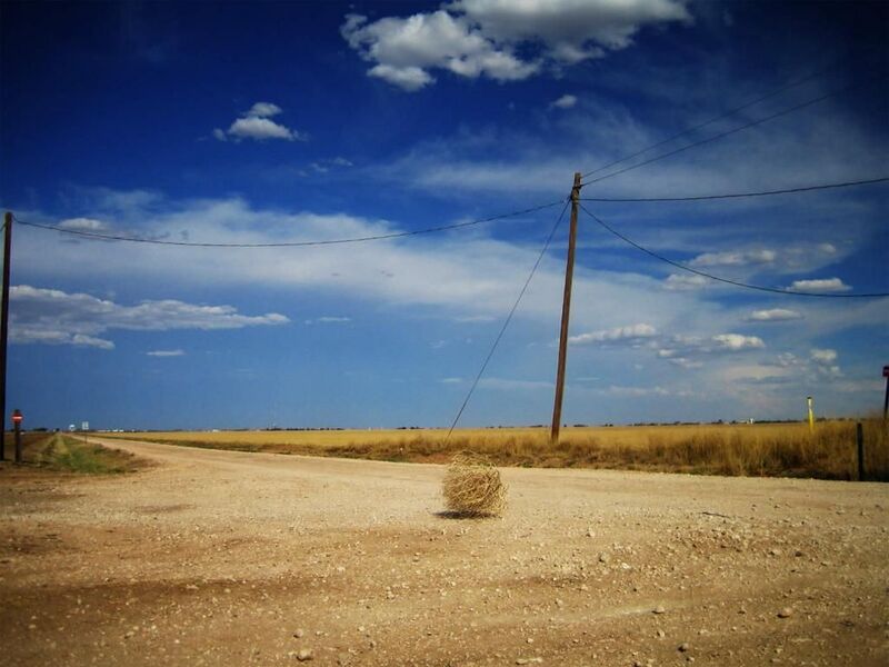 File:61f38536 tumbleweed zpscd9fcdee.jpg
