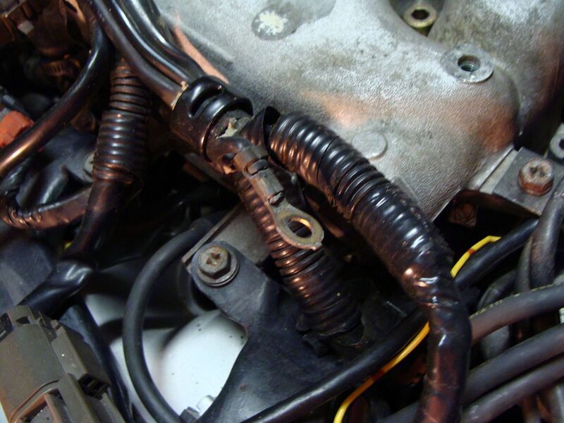 File:4f382de7 DSC05313.jpg