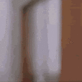 Thumbnail for version as of 05:00, 15 May 2026